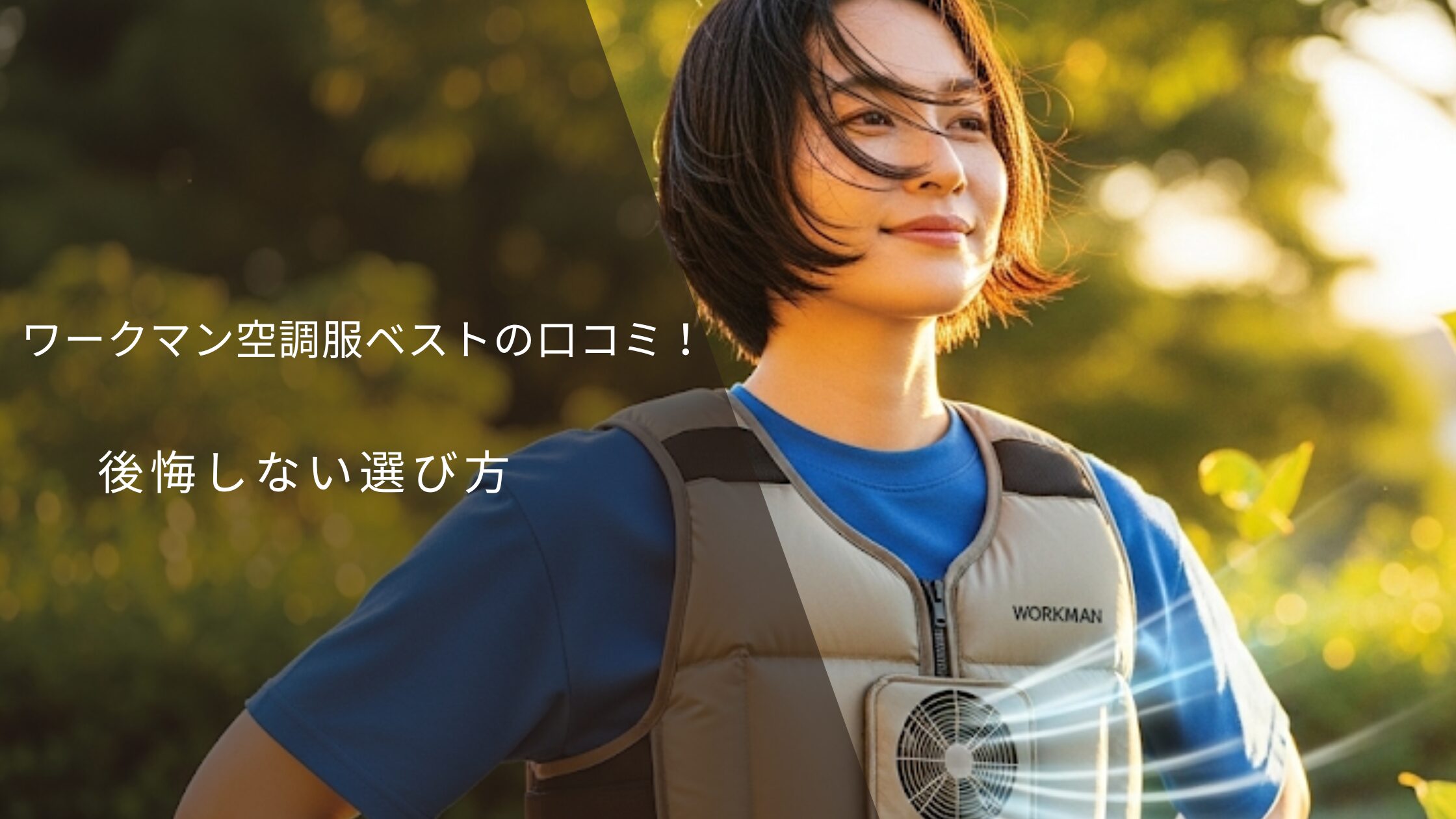 ワークマン 冷却ベスト 口コミ Amazon co jp バッテリー付き 2026年 