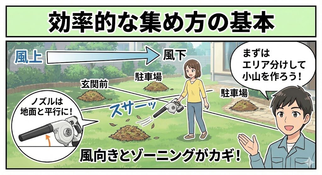 効率的なブロワーの使い方と集め方の基本