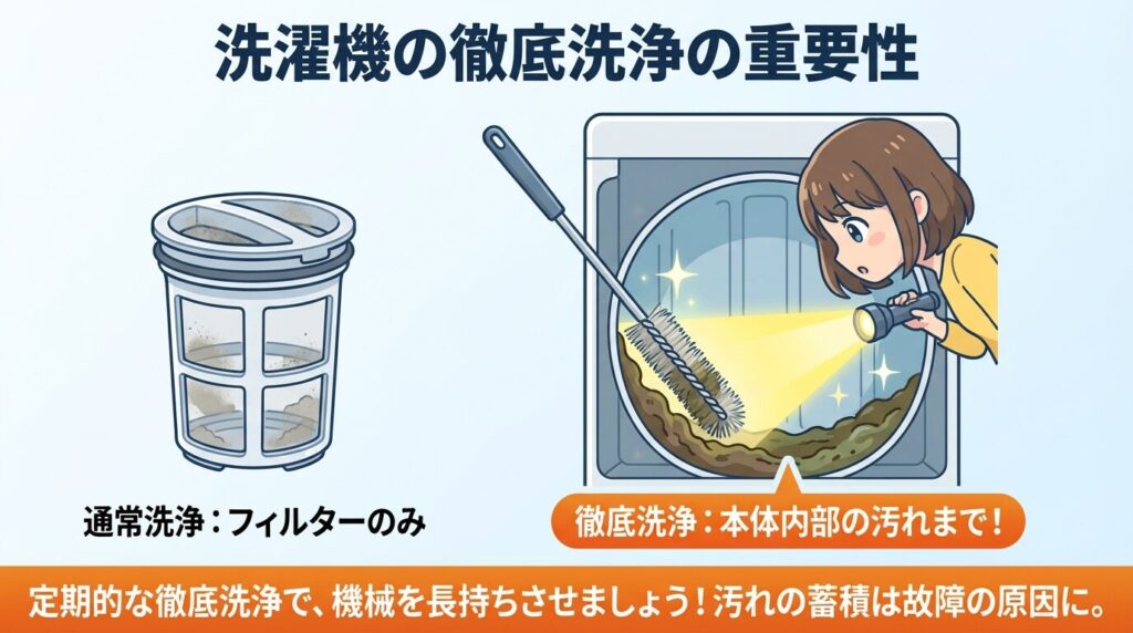 実践編:排水フィルターと「本体側の奥」を徹底的に掃除する手順