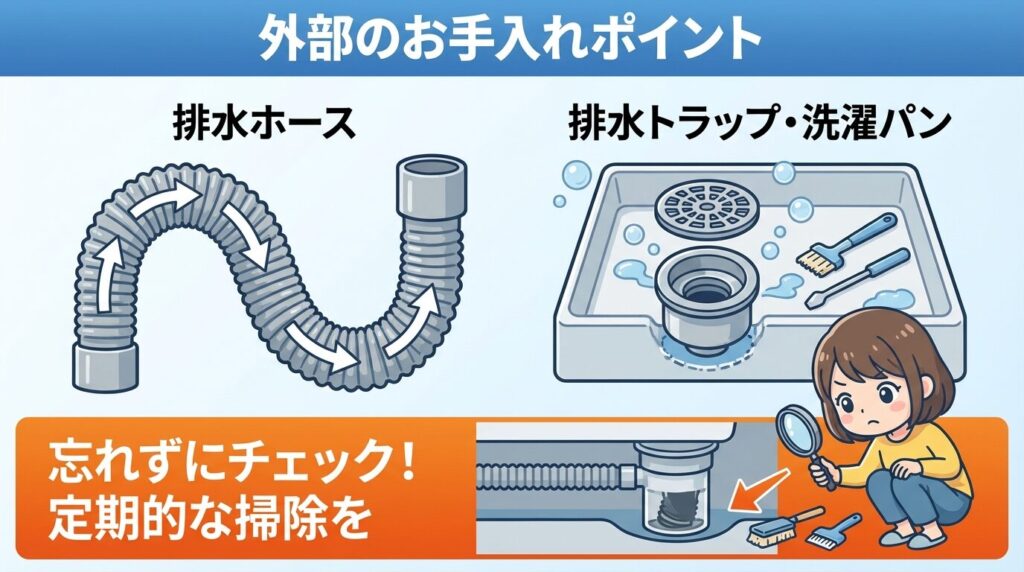 実践編:排水フィルターと「本体側の奥」を徹底的に掃除する手順