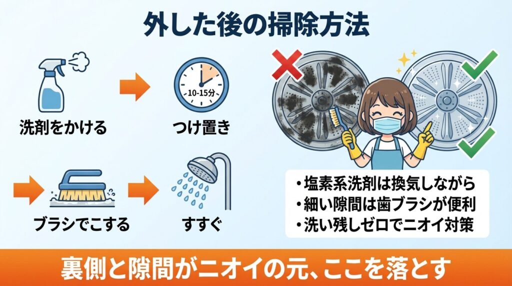 外した後のパルセーター裏と隙間の掃除方法
